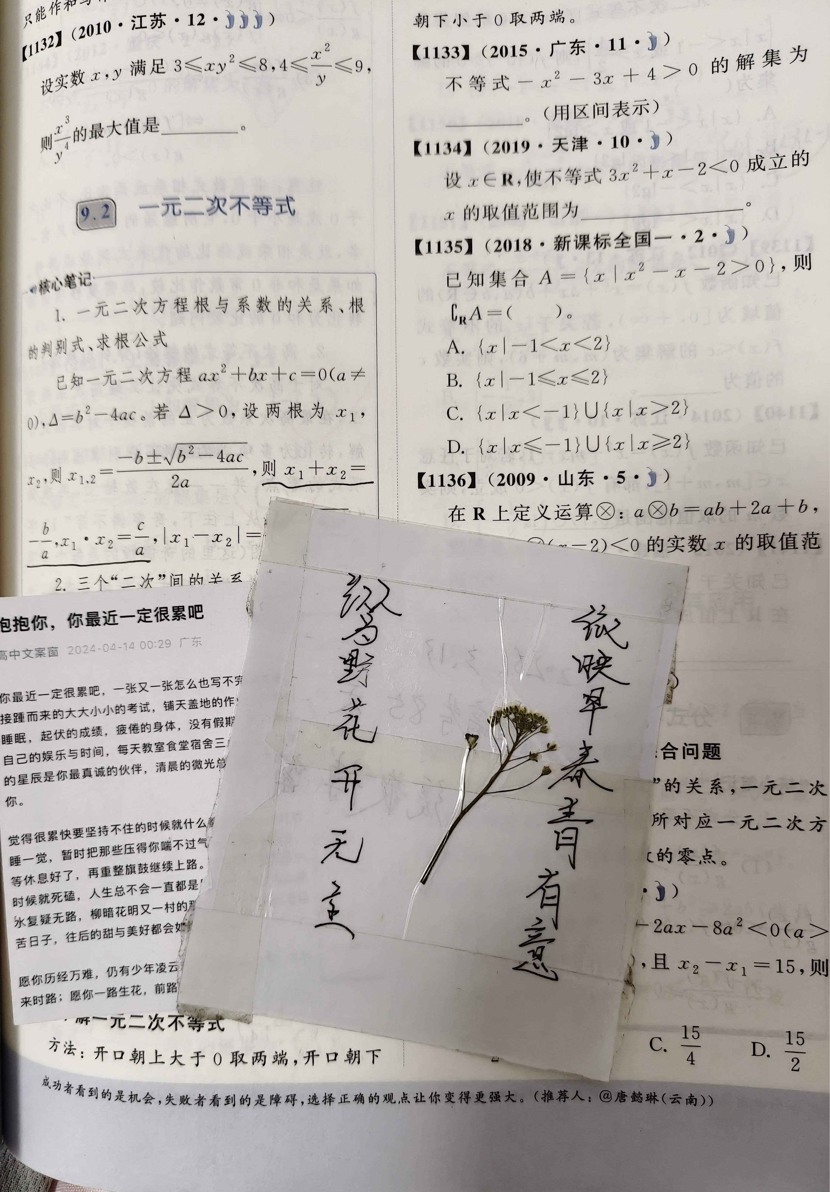 IMG20260731202746.jpg