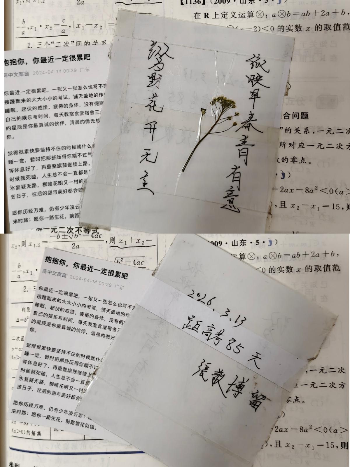 高中写的两句诗