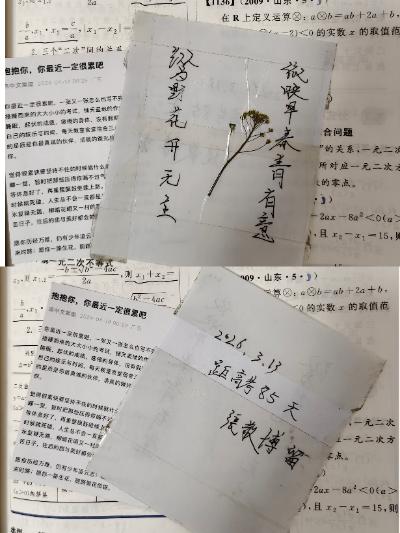 高中写的两句诗